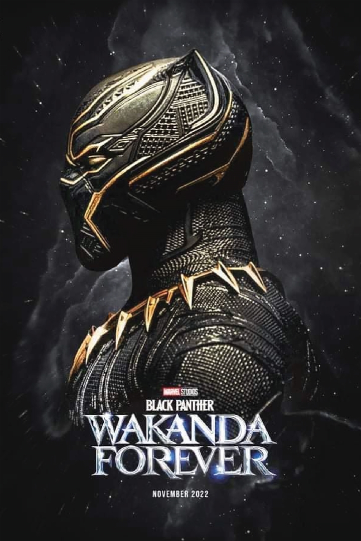 Chiến binh Báo Đen: Wakanda bất diệt